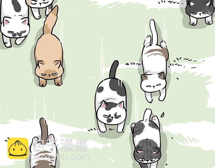 🍘吾皇巴扎黑 第271话 进击的流浪猫！ 第23页