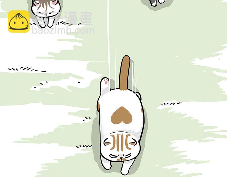 🍘吾皇巴扎黑 第271话 进击的流浪猫！ 第24页