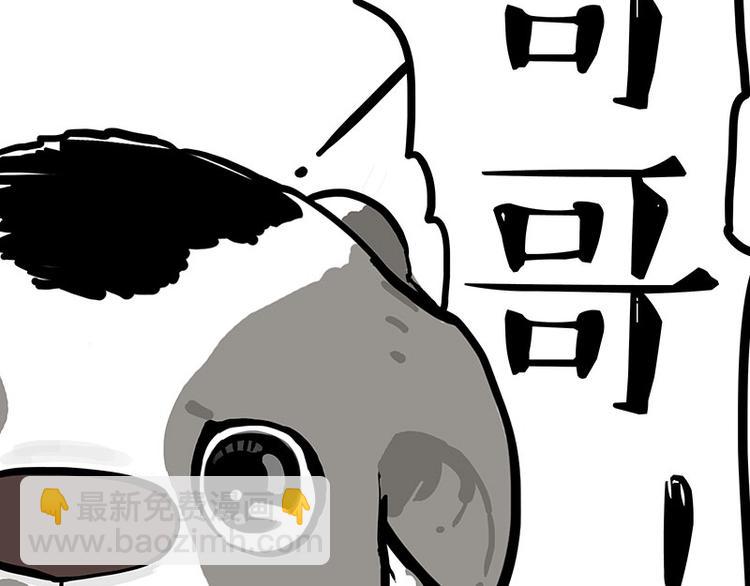 🍘吾皇巴扎黑 第271话 进击的流浪猫！ 第28页