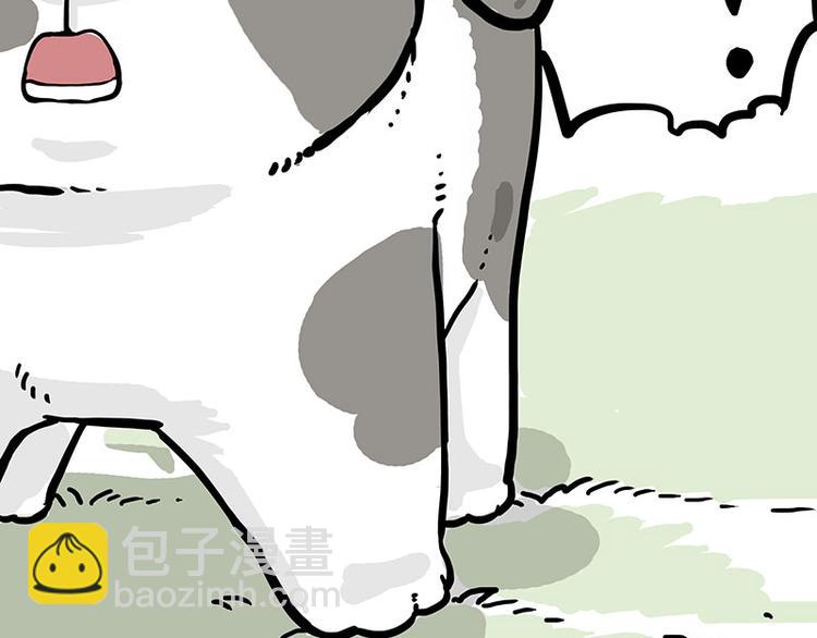 🍘吾皇巴扎黑 第271话 进击的流浪猫！ 第29页