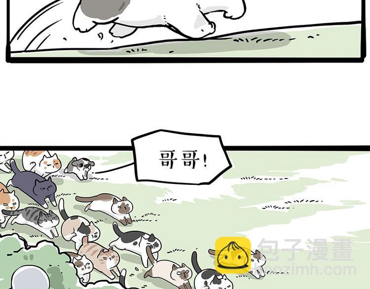 🍘吾皇巴扎黑 第271话 进击的流浪猫！ 第31页