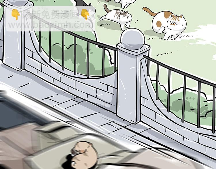 🍘吾皇巴扎黑 第271话 进击的流浪猫！ 第32页