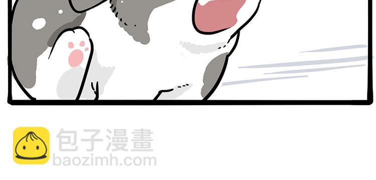 🍘吾皇巴扎黑 第271话 进击的流浪猫！ 第34页