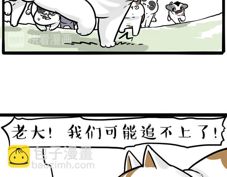 🍘吾皇巴扎黑 第271话 进击的流浪猫！ 第36页