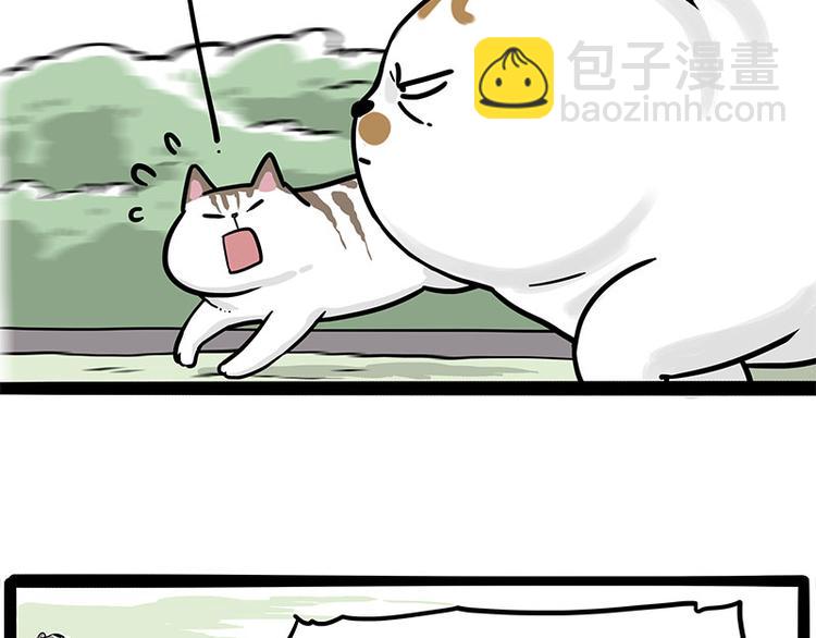 🍘吾皇巴扎黑 第271话 进击的流浪猫！ 第37页