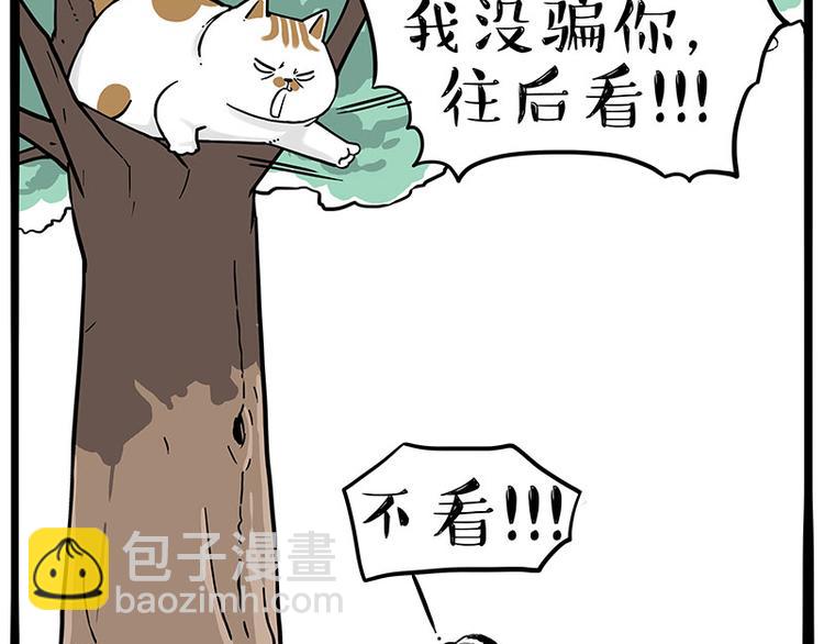 🍘吾皇巴扎黑 第271话 进击的流浪猫！ 第4页
