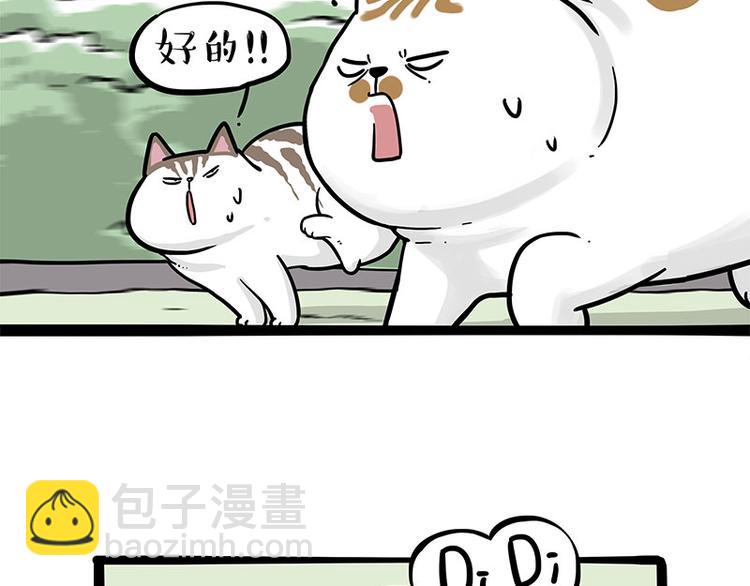 🍘吾皇巴扎黑 第271话 进击的流浪猫！ 第40页