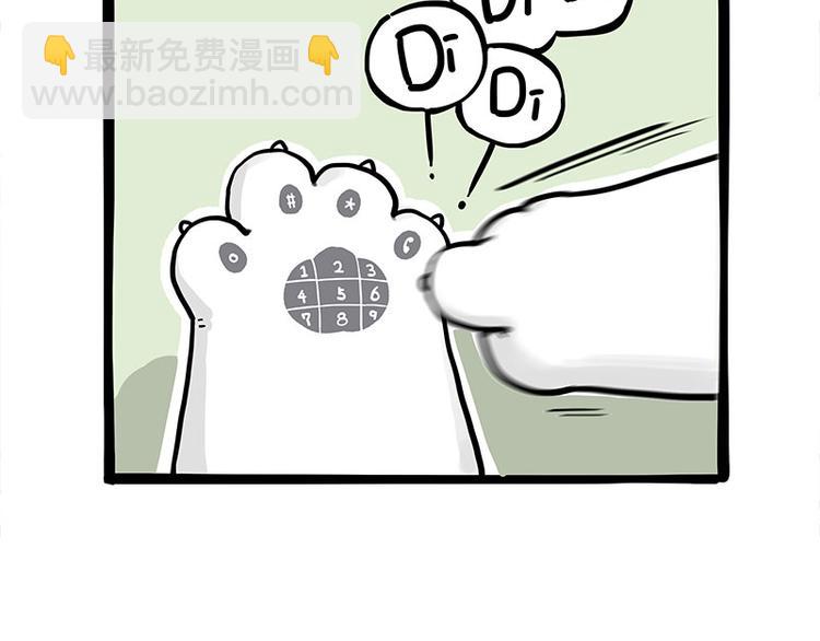 🍘吾皇巴扎黑 第271话 进击的流浪猫！ 第41页