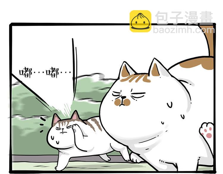 🍘吾皇巴扎黑 第271话 进击的流浪猫！ 第42页