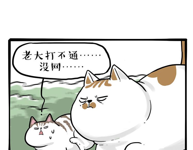 🍘吾皇巴扎黑 第271话 进击的流浪猫！ 第43页