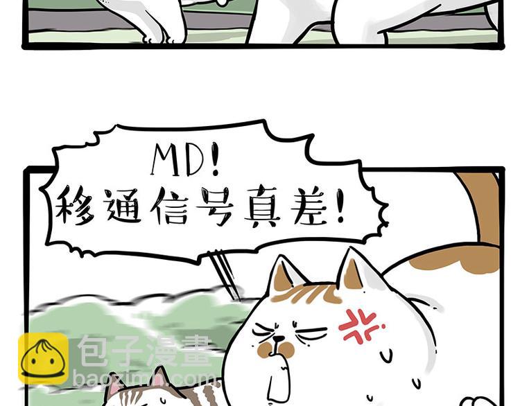 🍘吾皇巴扎黑 第271话 进击的流浪猫！ 第44页