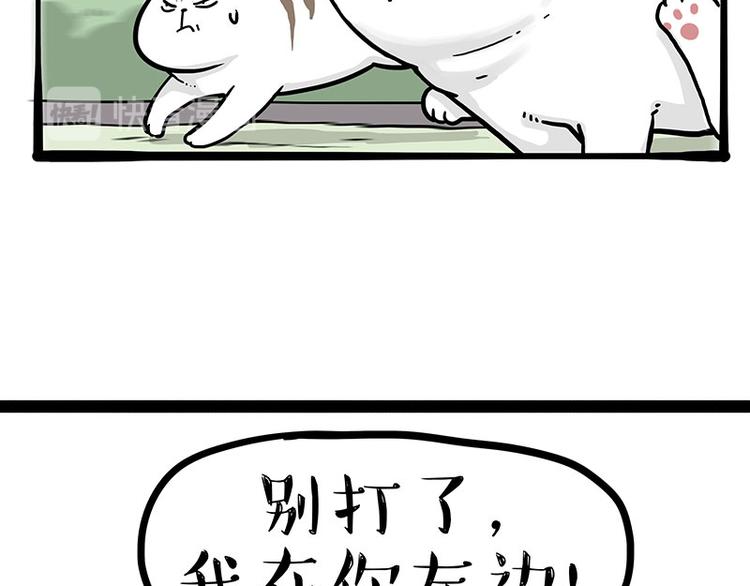 🍘吾皇巴扎黑 第271话 进击的流浪猫！ 第45页