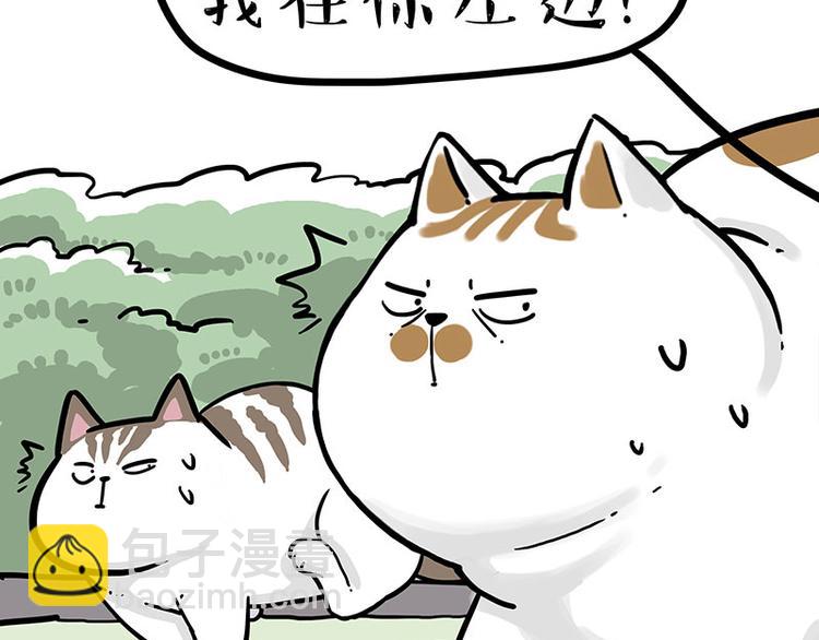 🍘吾皇巴扎黑 第271话 进击的流浪猫！ 第46页