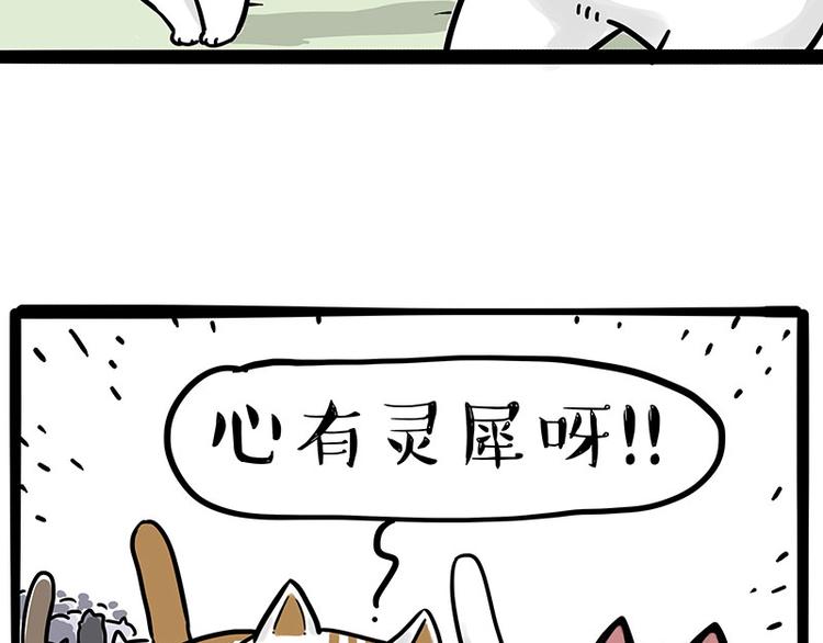 🍘吾皇巴扎黑 第271话 进击的流浪猫！ 第47页