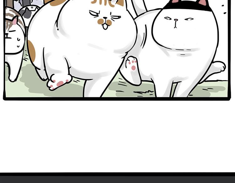 🍘吾皇巴扎黑 第271话 进击的流浪猫！ 第48页