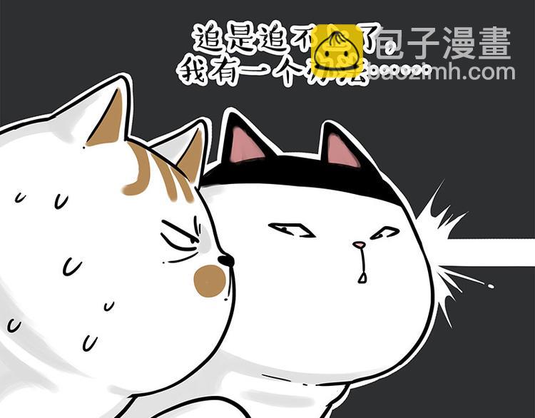 🍘吾皇巴扎黑 第271话 进击的流浪猫！ 第49页