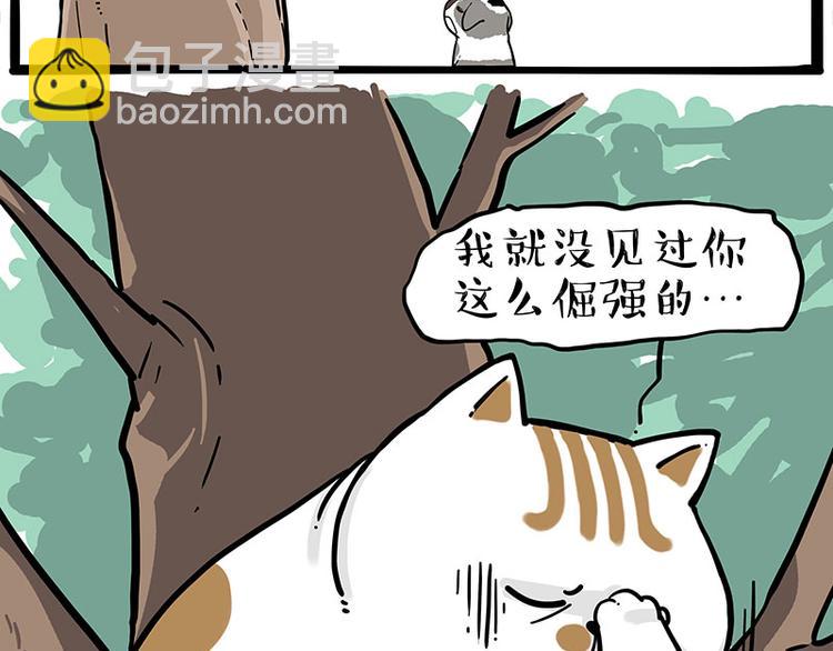 🍘吾皇巴扎黑 第271话 进击的流浪猫！ 第5页