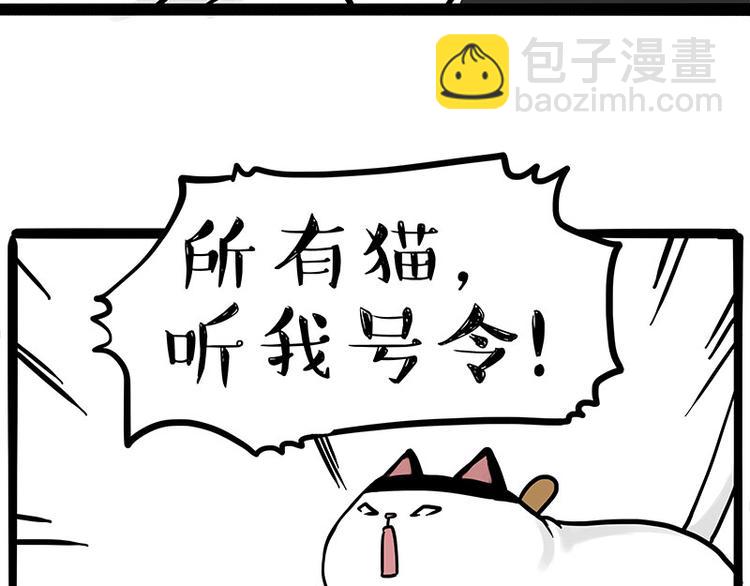 🍘吾皇巴扎黑 第271话 进击的流浪猫！ 第50页