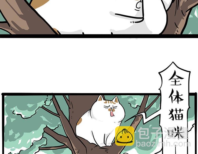 🍘吾皇巴扎黑 第271话 进击的流浪猫！ 第6页