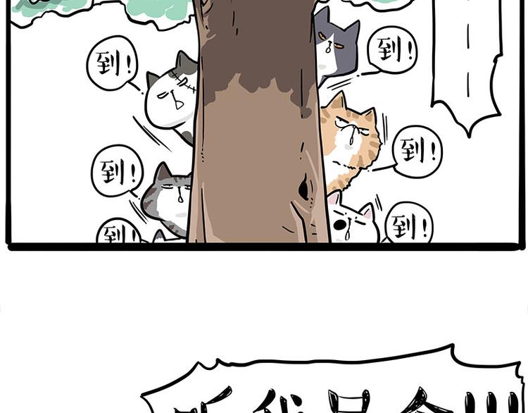 🍘吾皇巴扎黑 第271话 进击的流浪猫！ 第7页