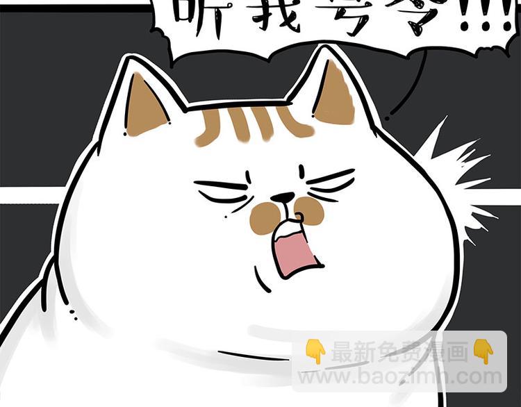 🍘吾皇巴扎黑 第271话 进击的流浪猫！ 第8页