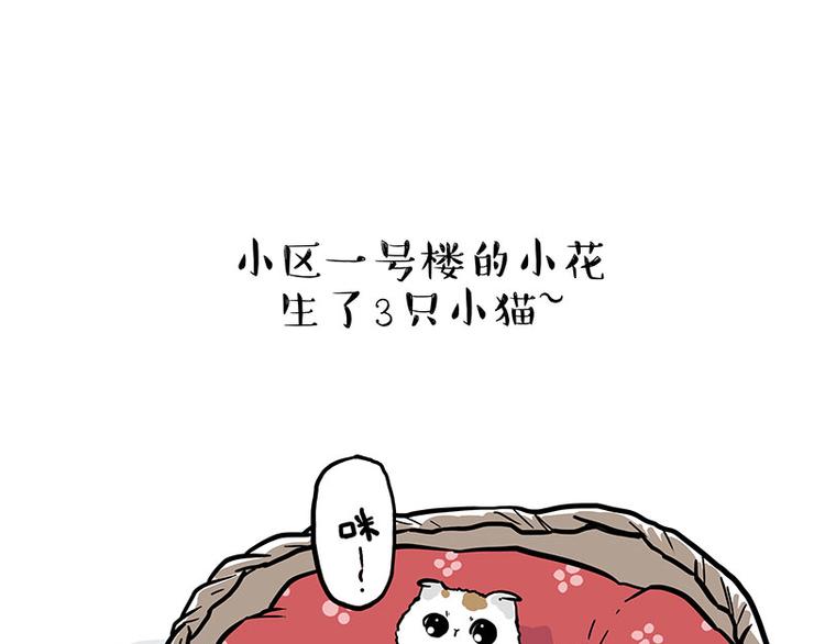 🍘吾皇巴扎黑 第275话 吾皇过生日了 第1页