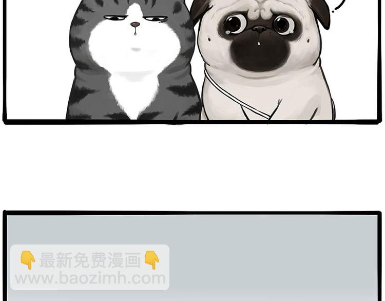 🍘吾皇巴扎黑 第275话 吾皇过生日了 第14页