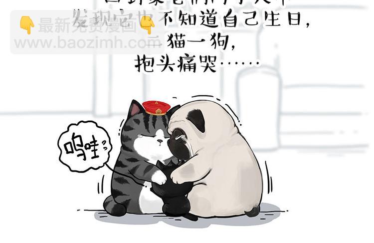 🍘吾皇巴扎黑 第275话 吾皇过生日了 第17页