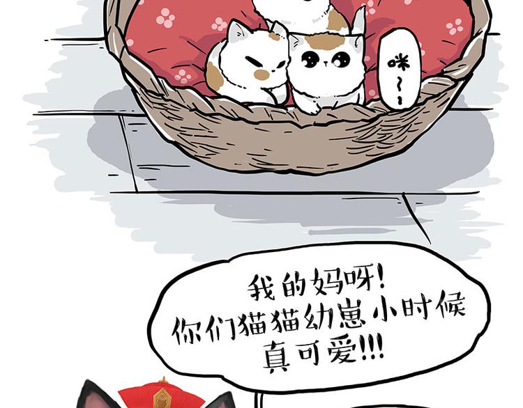 🍘吾皇巴扎黑 第275话 吾皇过生日了 第2页