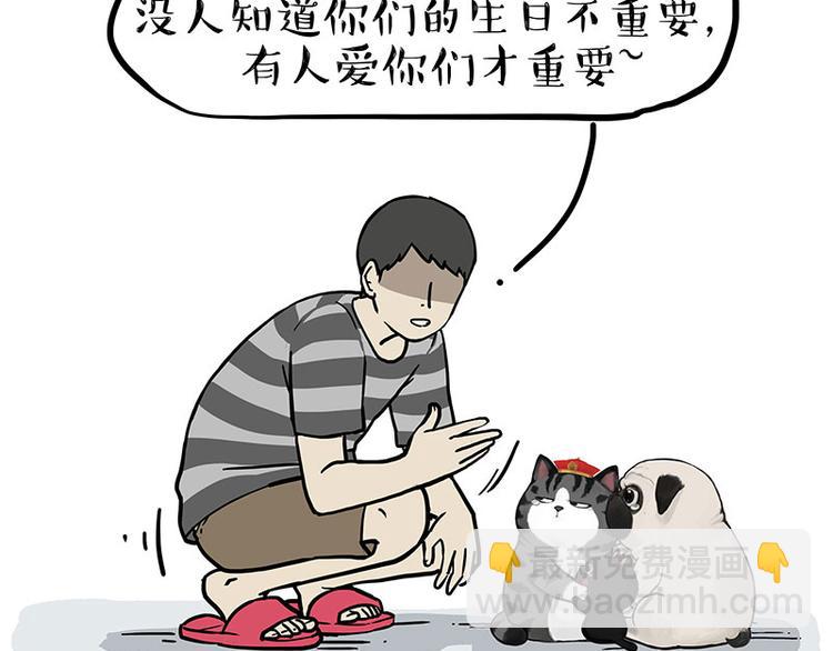 🍘吾皇巴扎黑 第275话 吾皇过生日了 第20页