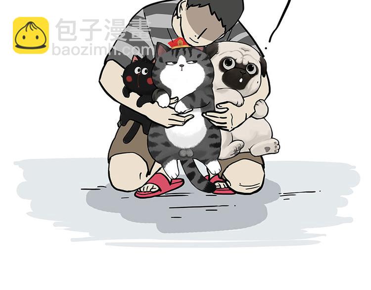 🍘吾皇巴扎黑 第275话 吾皇过生日了 第25页