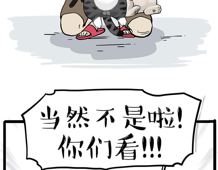 🍘吾皇巴扎黑 第275话 吾皇过生日了 第27页