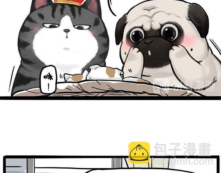 🍘吾皇巴扎黑 第275话 吾皇过生日了 第3页