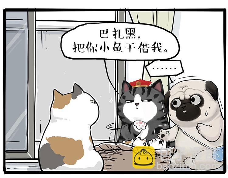 🍘吾皇巴扎黑 第275话 吾皇过生日了 第5页