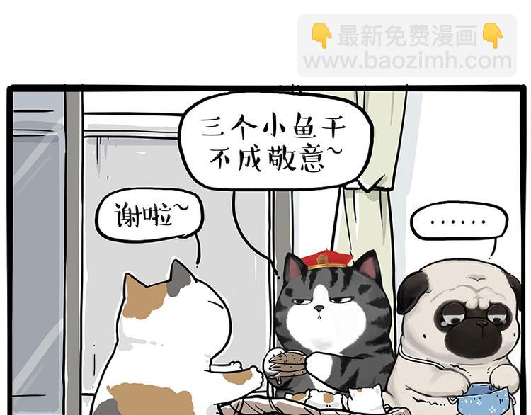 🍘吾皇巴扎黑 第275话 吾皇过生日了 第6页