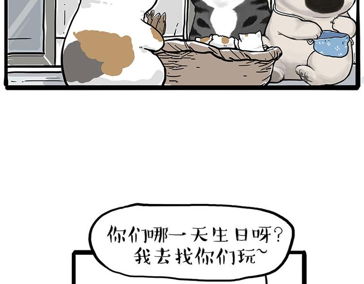 🍘吾皇巴扎黑 第275话 吾皇过生日了 第8页
