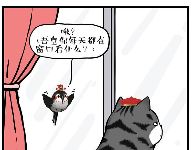 🍘吾皇巴扎黑 第277话 猫斗猫 第1页