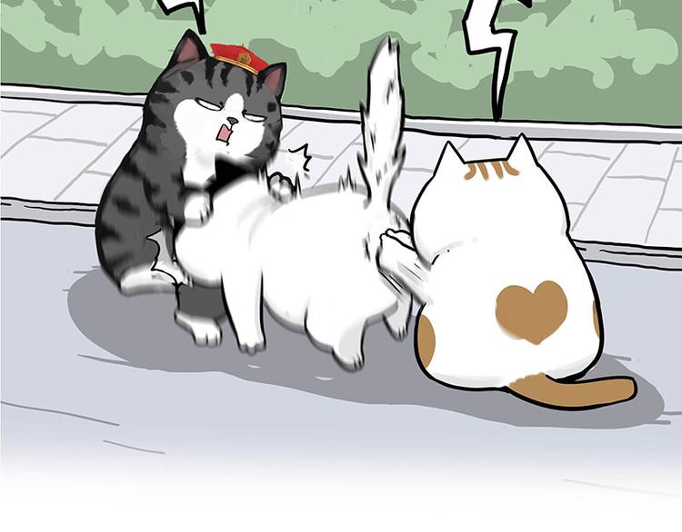 🍘吾皇巴扎黑 第277话 猫斗猫 第10页