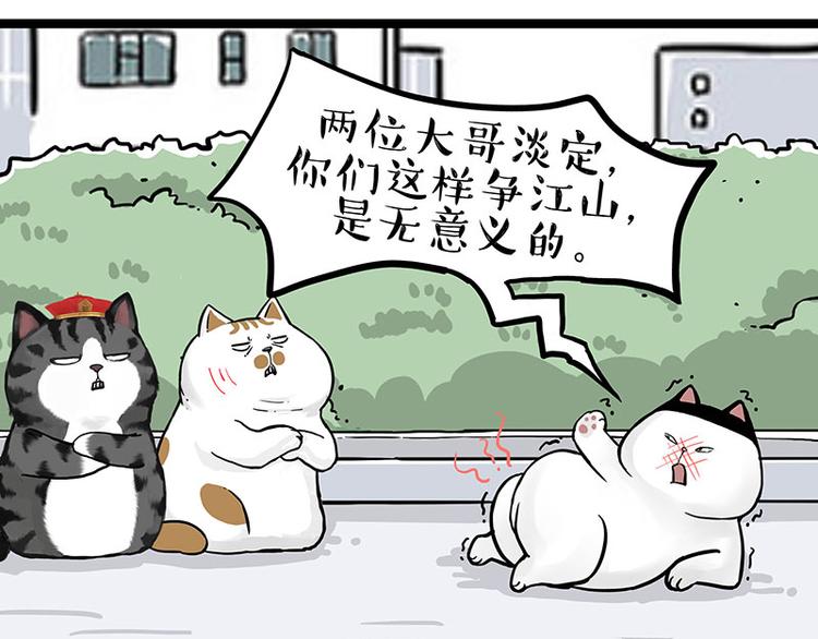 🍘吾皇巴扎黑 第277话 猫斗猫 第11页