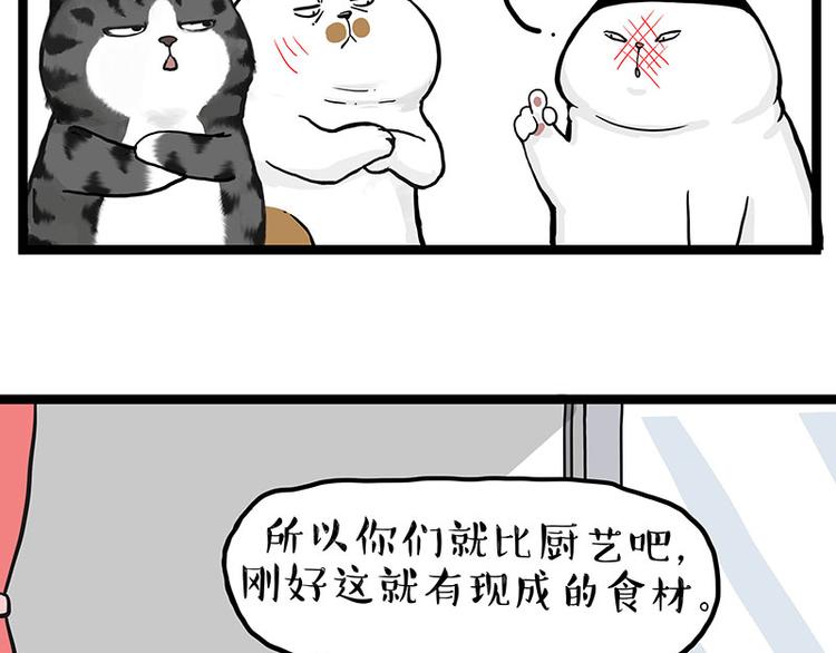 🍘吾皇巴扎黑 第277话 猫斗猫 第13页