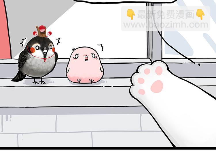 🍘吾皇巴扎黑 第277话 猫斗猫 第14页