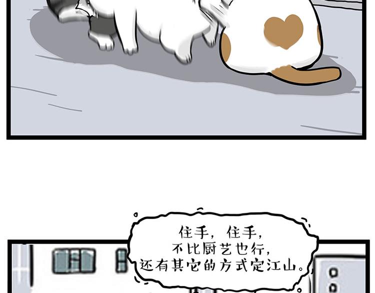 🍘吾皇巴扎黑 第277话 猫斗猫 第16页
