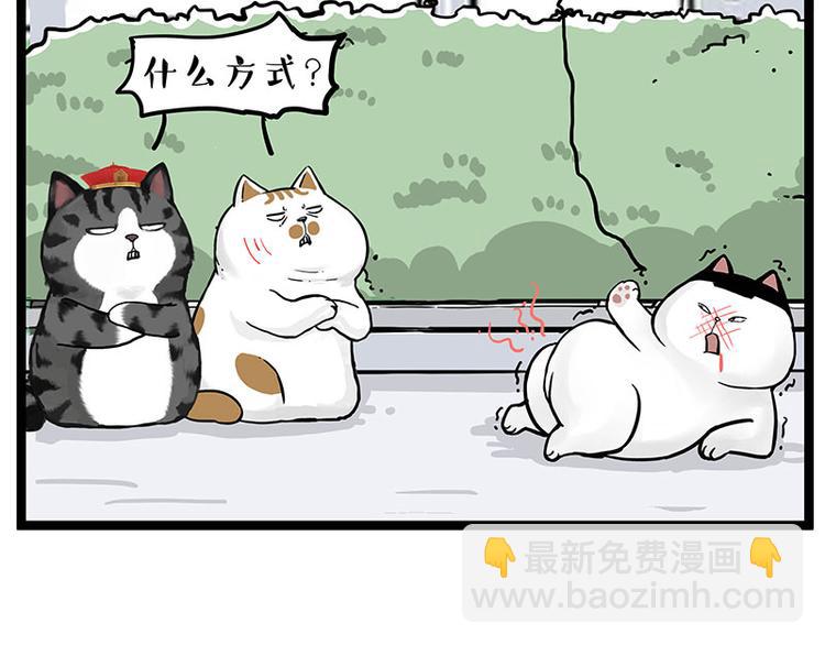 🍘吾皇巴扎黑 第277话 猫斗猫 第17页