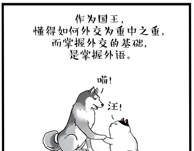 🍘吾皇巴扎黑 第277话 猫斗猫 第18页