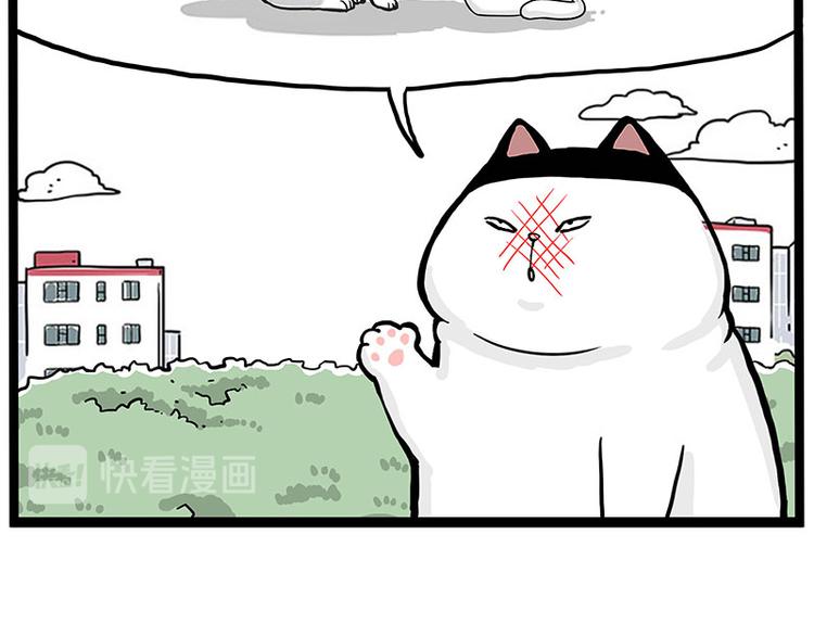 🍘吾皇巴扎黑 第277话 猫斗猫 第19页