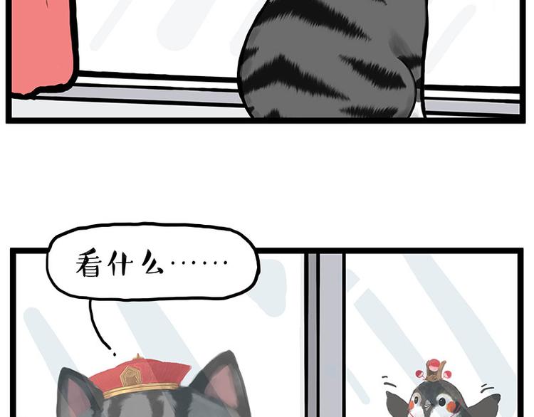 🍘吾皇巴扎黑 第277话 猫斗猫 第2页