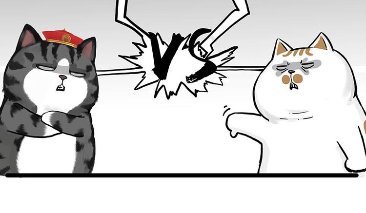🍘吾皇巴扎黑 第277话 猫斗猫 第21页