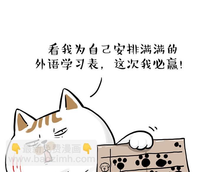 🍘吾皇巴扎黑 第277话 猫斗猫 第22页