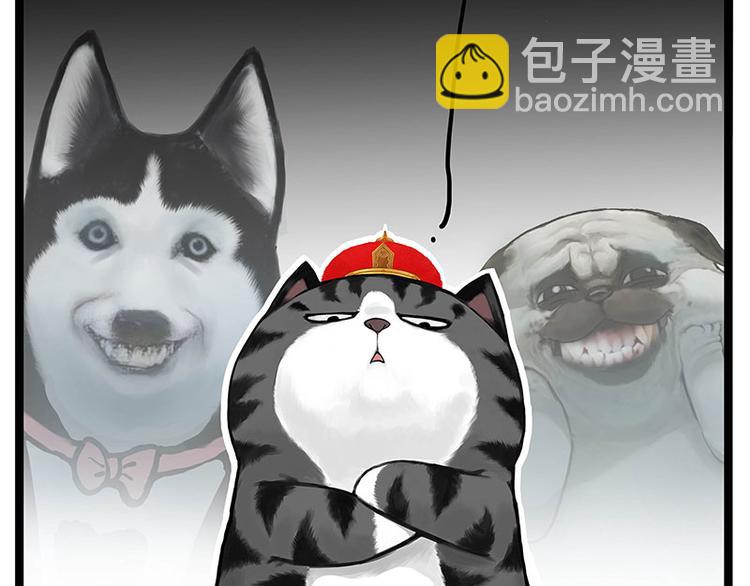 🍘吾皇巴扎黑 第277话 猫斗猫 第24页