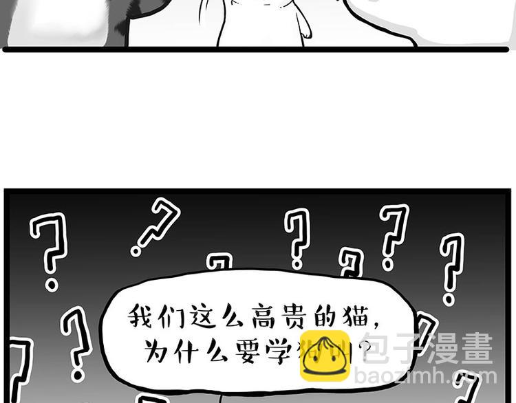 🍘吾皇巴扎黑 第277话 猫斗猫 第27页